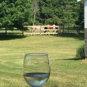 Meet your Posher, Anne